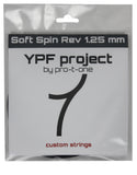 Soft Spin Rev YPF project